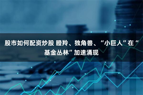股市如何配资炒股 瞪羚、独角兽、“小巨人”在“基金丛林”加速涌现